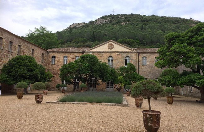 Tour di un giorno al villaggio di Lagrasse e all'Abbazia di Fontfroide. Tour privato da Carcassonne. - Foto 8