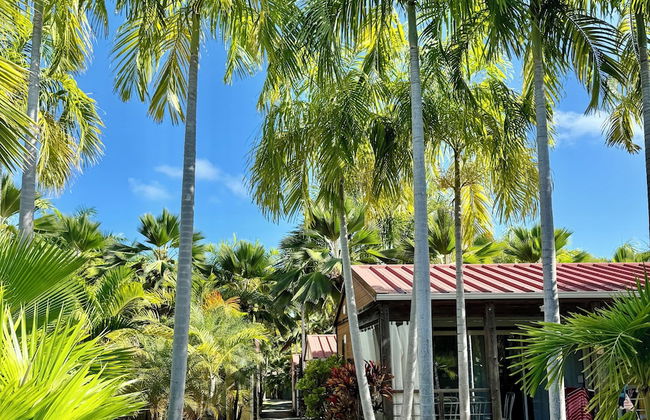 Le Village de la Pointe - Photo 68