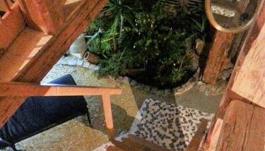 Bio-Ferienwohnung Bodensee Haus Franziskus - Foto 4