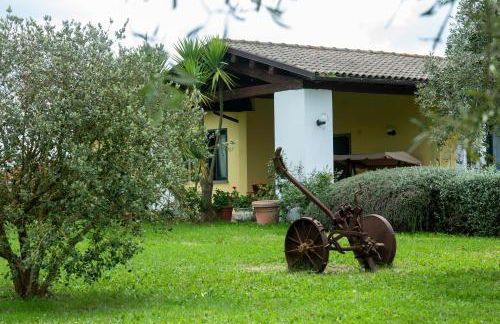 Agriturismo La Vita è Bella - Foto 59