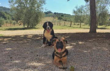 Agriturismo con cucina Il Favaio - Foto 64