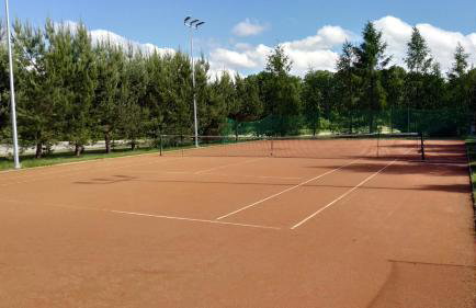 Brzozowy Zakątek - Foto 17