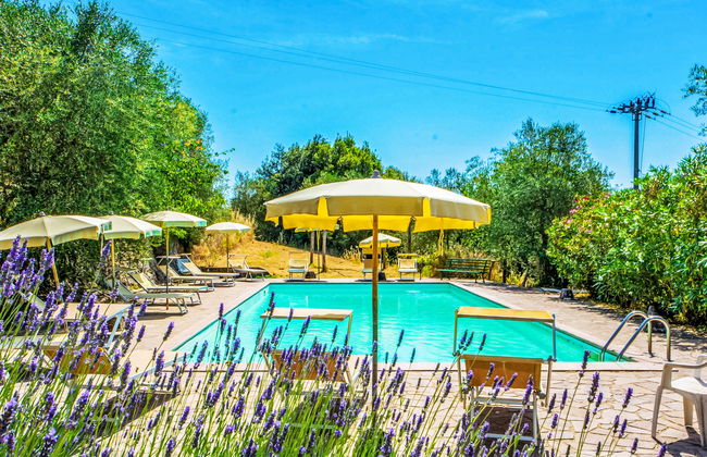 Il Ligustro - Foto 4