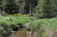 Apt confortable au pied des pistes et de la forêt - Foto 56