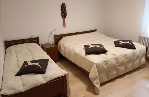 Appartamenti Primiero - Foto 30