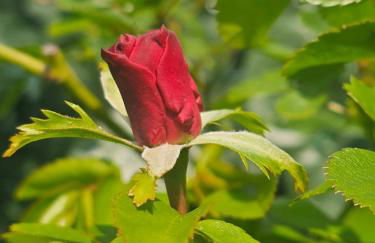 A Home Away From Home - Photo 37