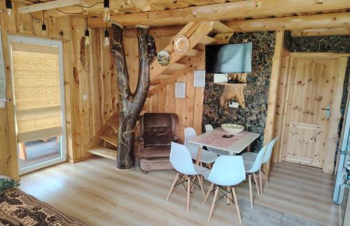 Bieszczadzka Agrochatka Monika - Foto 4