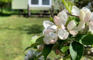 Hillcrest Hut - Photo 18
