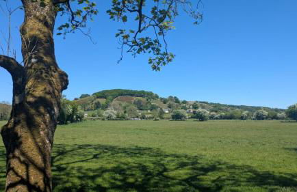 Tranquil Cabin Retreat- Sleeps 2 Parking - Foto 15