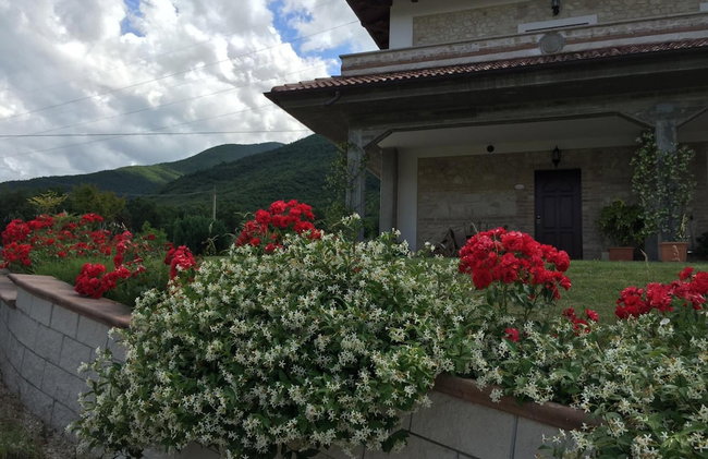 Il Poggio Dei Pettirossi - Foto 65