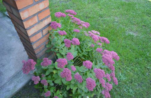 Agro Przy Kominku - Foto 17