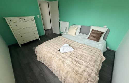 House, garden & garage, Downtown, Near Zenith & A75 - Foto 50