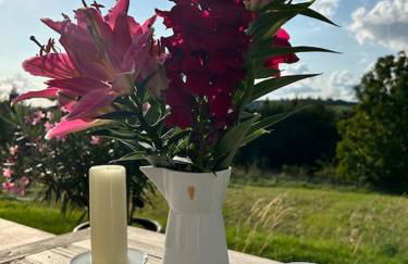 Mosel Urlaub Stabenhof - Whirlpool, Natur und Grill - Foto 27