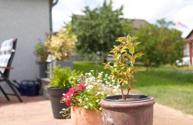 Sonnige Wohnung in Bad Driburg mit Garten - Foto 51