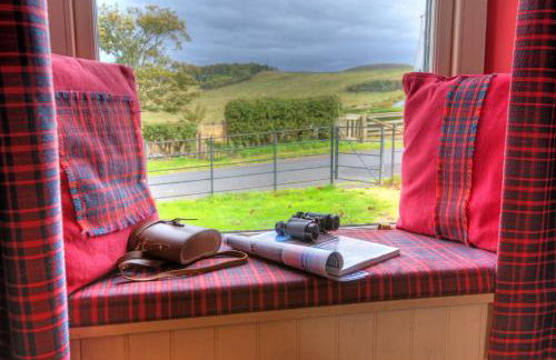 Gypsy Palace - Foto 10