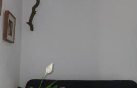 Monte da ti Luzia - Foto 30