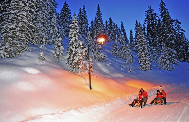 Apartment in Untertauern Near ski Area - Foto 18