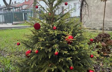 Apartament Kaszmirowy - Foto 35