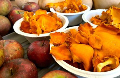 Cabin on Wheels • Cozy Forest and Farm Retreat - Photo 5