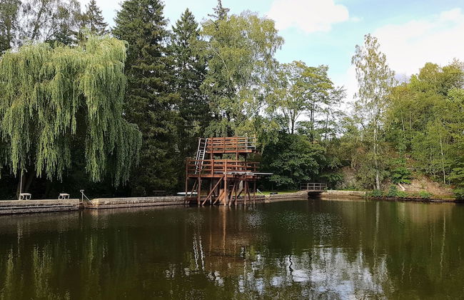 The House to Stay in Hasselfelde - Foto 17