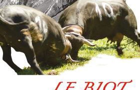 Edelweiss, Studio 5 pers, balcon sud est, vue sur les montagnes - Foto 26