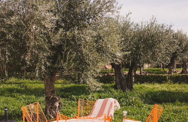 Chão do Ribeirinho - Photo 33