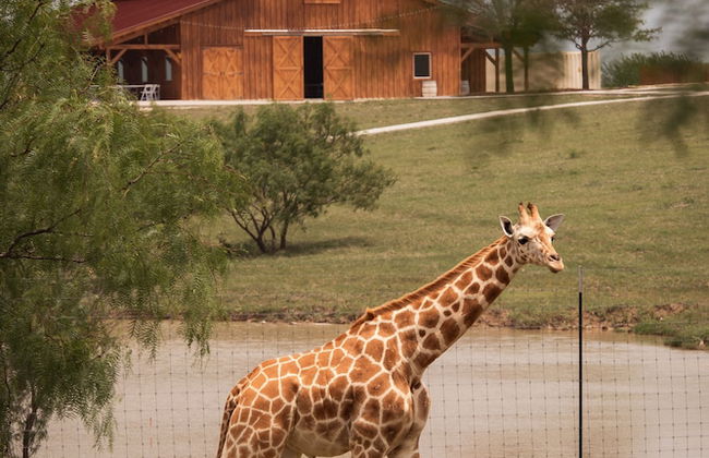 Blue Hills Ranch - Foto 77