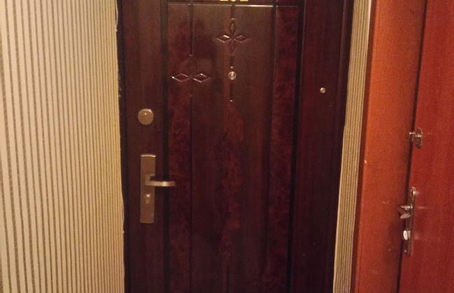 Zorge Studies - Foto 36