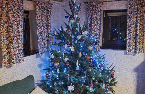 Agroturystyka Chata pod Wojkową - Foto 10