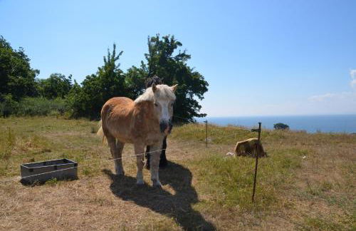 Haus Vineta - Foto 14
