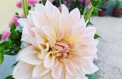 Vecchi Maestri Luxury Adults Only Apartments with Breakfast - Foto 38