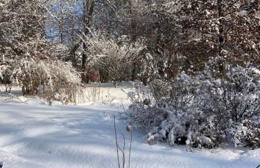 Design Ferienwohnung mit Bauerngarten - Foto 66