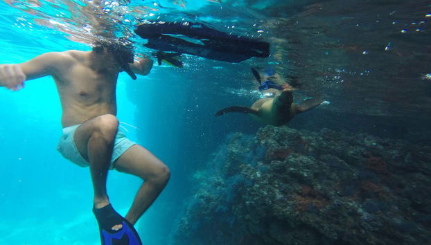 Praticando snorkel na Ilha Espíritu Santo