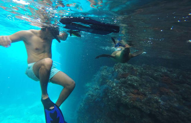 Excursion sur l'île d'Espiritu Santo - Photo 4