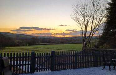 Parcglas - Willow - Foto 7