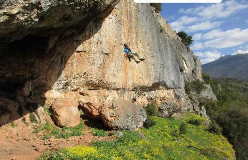 Artemis' Stone House - Photo 31