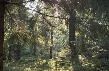 AR Apartments I 4 Pers I Prime I Küche I WLAN I Office - Foto 25