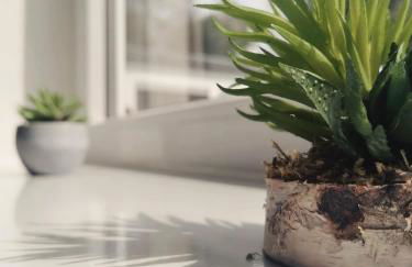 Augl Bischofsgrün - Foto 30