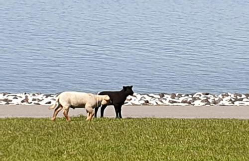 Haus im Park - Foto 9