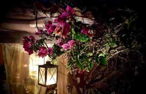 Villa Grace - Foto 56