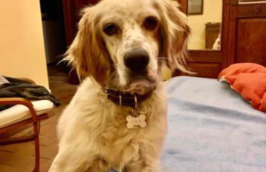 La casa di Francesco Incantevole casale di campagna with pool piscina - Foto 34