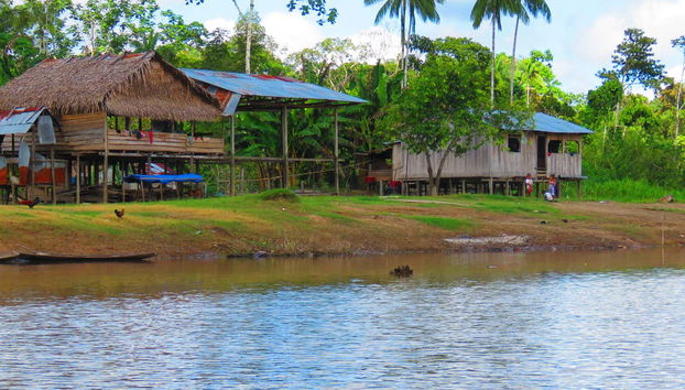 Pendant la visite dans Leticia