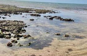 Linda casa de Praia - 150 M da praia - Foto 32