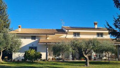 Green Paradise - Foto 2