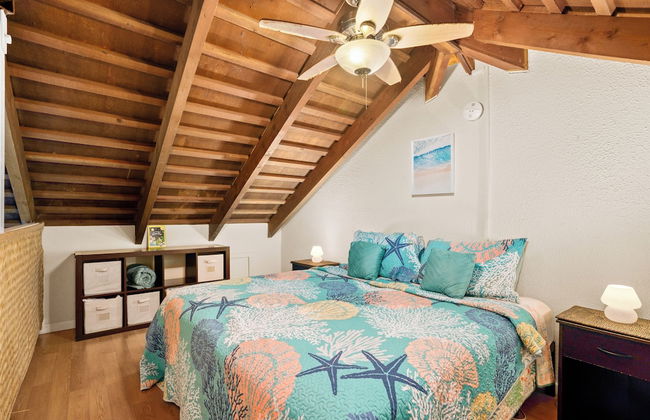 Paniolo 204a - Foto 6