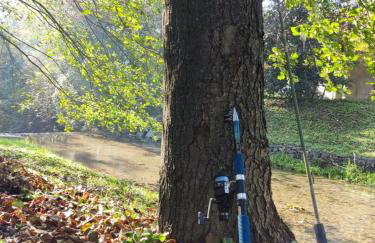 Grandma's apartment - Photo 41