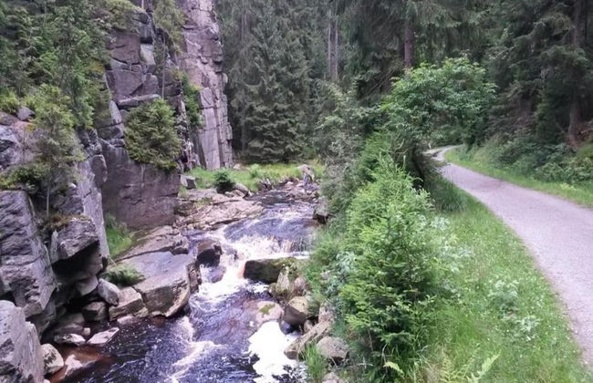 Sunny Escape in Borstendorf - Foto 33