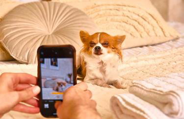 Apartamenty Paryskie Old Town View - Foto 75