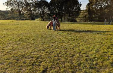 Herdade da Hera - Foto 29