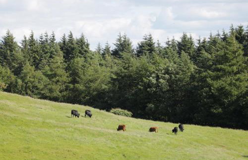 Lake Farm Cottage - Foto 14